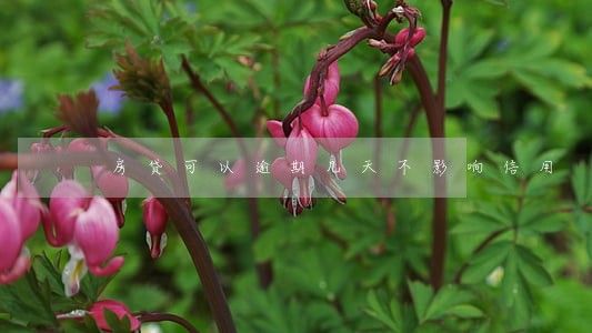 房贷可以逾期几天不影响信用 房贷可以逾期几天不影响信用