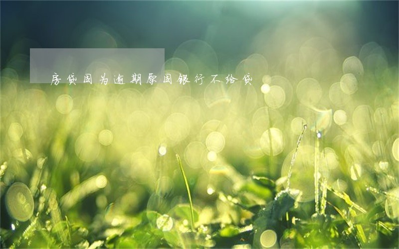 房贷因为逾期原因银行不给贷 房贷因为逾期原因银行不给贷