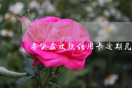房贷在放款信用卡逾期几天 房贷在放款信用卡逾期几天