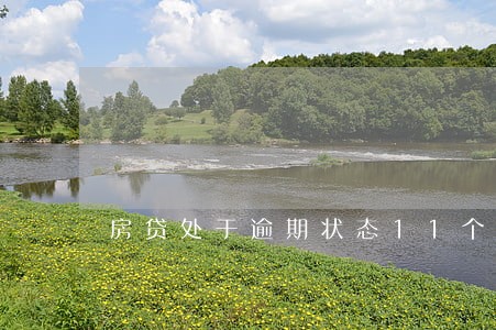 房贷处于逾期状态11个月 房贷处于逾期状态11个月