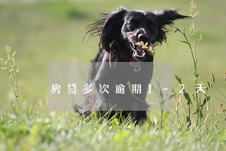 房贷多次逾期1-2天 房贷多次逾期1-2天