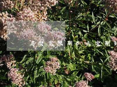 房贷宽限期0天逾期3天怎么办 房贷宽限期0天逾期3天怎么办