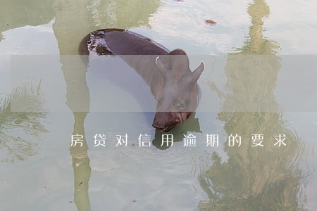 房贷对信用逾期的要求 房贷对信用逾期的要求