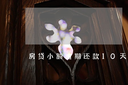 房贷小额逾期还款10天 房贷小额逾期还款10天