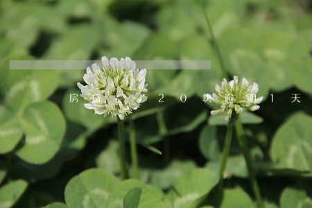 房贷差了20块逾期1天