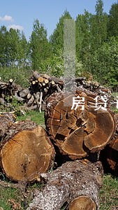 房贷已面签又不小心信用卡逾期 房贷已面签又不小心信用卡逾期