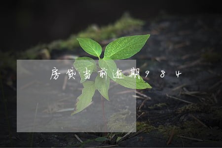 房贷当前逾期984 房贷当前逾期984