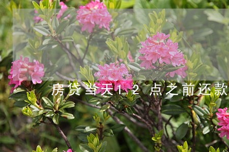 房贷当天12点之前还款算逾期吗 房贷当天12点之前还款算逾期吗