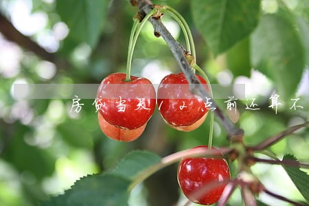 房贷当天12点前还算不算逾期 房贷当天12点前还算不算逾期