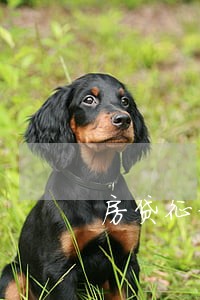 房贷征信五年内4次逾期 房贷征信五年内4次逾期