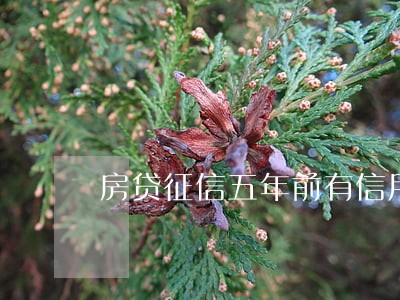 房贷征信五年前有信用卡逾期 房贷征信五年前有信用卡逾期