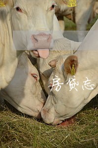 房贷忘了3天了逾期 房贷忘了3天了逾期