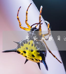 房贷扣款日逾期2天
