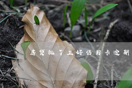房贷批了正好信用卡逾期 房贷批了正好信用卡逾期