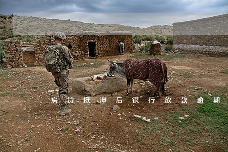 房贷抵押后银行放款逾期 房贷抵押后银行放款逾期