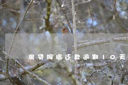 房贷按揭还款逾期10天 房贷按揭还款逾期10天