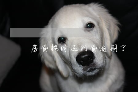 房贷按时还网贷逾期了 房贷按时还网贷逾期了