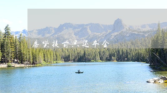 房贷提前只还本金 房贷提前只还本金
