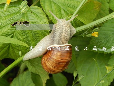 房贷提前还完只还本金吗 房贷提前还完只还本金吗