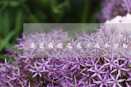 房贷提前还是只还本金余额吗 房贷提前还是只还本金余额吗