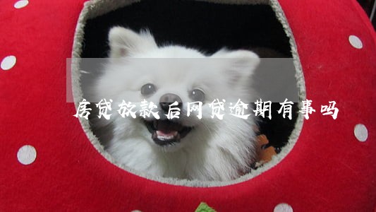 房贷放款后网贷逾期有事吗