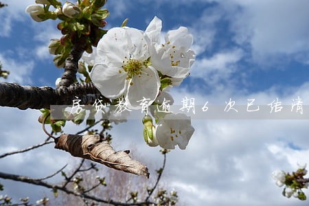 房贷教育逾期6次已结清尾款 房贷教育逾期6次已结清尾款