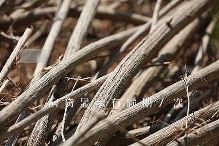 房贷显示有逾期7次 房贷显示有逾期7次