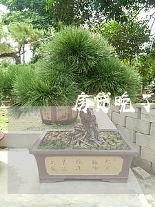 房贷晚了3天会逾期吗 房贷晚了3天会逾期吗