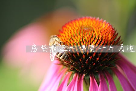 房贷最近5年有一个月逾期 房贷最近5年有一个月逾期