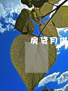 房贷月供可以逾期1天 房贷月供可以逾期1天