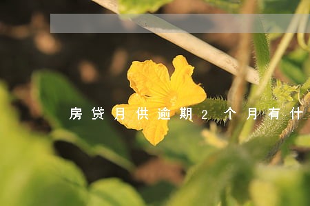 房贷月供逾期2个月有什么后果 房贷月供逾期2个月有什么后果