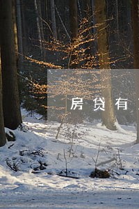 房贷有13次逾期 房贷有13次逾期