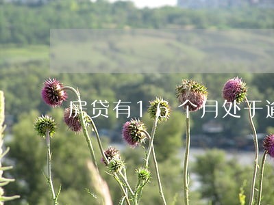 房贷有16个月处于逾期状态