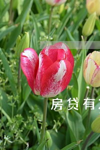 房贷有2次逾期还可以买房吗 房贷有2次逾期还可以买房吗