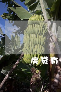 房贷有一次逾期影响贷款吗 房贷有一次逾期影响贷款吗