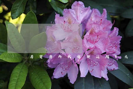 房贷有两次逾期没超3天 房贷有两次逾期没超3天