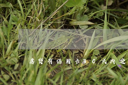 房贷有信用卡30天内逾期 房贷有信用卡30天内逾期