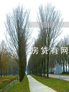 房贷有网贷但没逾期过 房贷有网贷但没逾期过