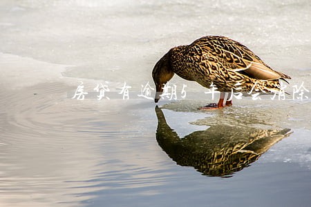 房贷有逾期5年后会消除吗