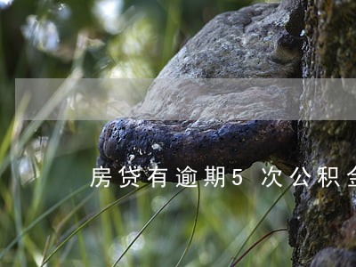 房贷有逾期5次公积金能贷吗
