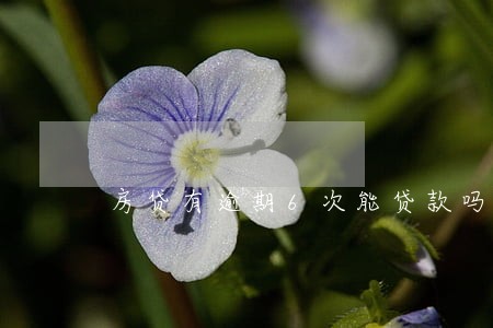 房贷有逾期6次能贷款吗 房贷有逾期6次能贷款吗