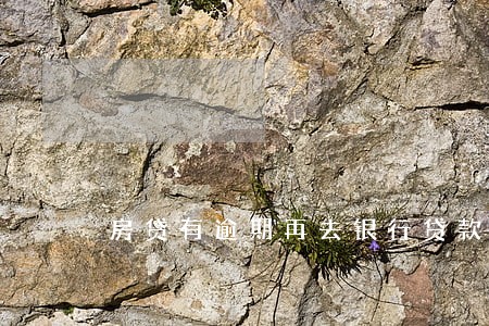 房贷有逾期再去银行贷款会难 房贷有逾期再去银行贷款会难