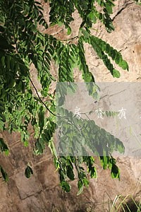 房贷有逾期可以贷款 房贷有逾期可以贷款