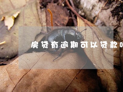 房贷有逾期可以贷款吗