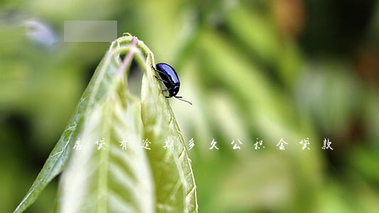 房贷有逾期多久公积金贷款 房贷有逾期多久公积金贷款