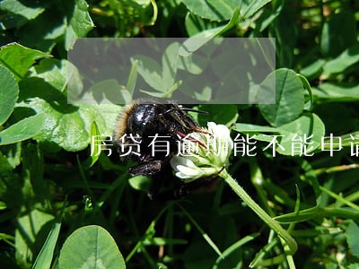 房贷有逾期能不能申请车贷款 房贷有逾期能不能申请车贷款