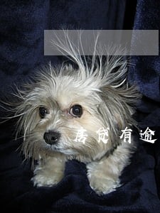 房贷有逾期还能公积金贷款吗 房贷有逾期还能公积金贷款吗