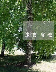 房贷有逾期还能贷款 房贷有逾期还能贷款