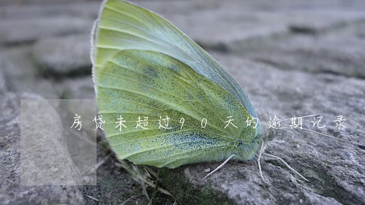 房贷未超过90天的逾期记录