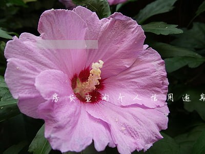 房贷查询个人信用逾期